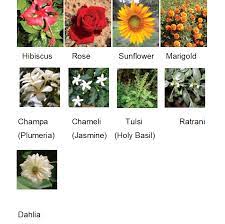 Flowers that grow on trees class 4. Class 4 Evs Chapter 11 The Valley Of Flowers Additional Exercises With Solutions Ncert