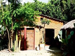 Foto de La Palapa de Raul, Oaxaca: La Palapa de Raul