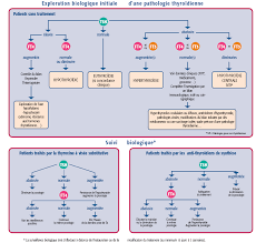 Dosage du cholestérol total, hdl, ldl et des triglycérides. Vidas Thyroide Diagnostic Clinique Biomerieux France