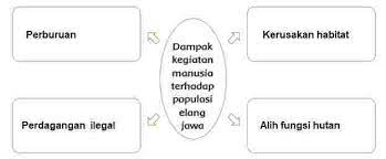 Menyadarkan masyarakat untuk tidak berburu elang jawa. Kunci Jawaban Tema 9 Kelas 4 Halaman 37 38 39 40 41 42 43 44 45 46 47 Subtema 1 Pembelajaran 6 Halaman All Tribun Pontianak