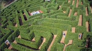 Topiary garden garden art garden design landscape architecture landscape design amazing maze labyrinth maze the secret garden formal gardens. Hey Virginia Garden Maze At Luray Caverns Youtube