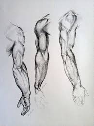 Sketches Google Search Anatomy Sketches Human Anatomy Art Anatomy Drawing