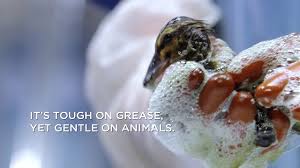 Wildlife rescue experts use dawn dish soap for more than cleaning dishes. Dawn Commemorates 40 Years Of Helping Save Wildlife