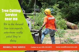Pin On Rowell Tree Removal Emergency Service