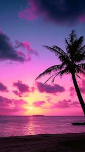 Tropical Pink Sunset Wallpaper By Goodfellagrl 16 Free On Zedge Get stunning sunset pictures in our handpicked collection for free. tropical pink sunset wallpaper by