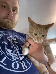 I got 2 cat free to a good home