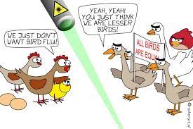 Maybe you would like to learn more about one of these? Laser Shield Against Wild Birds Infected With Bird Flu Innovation Origins
