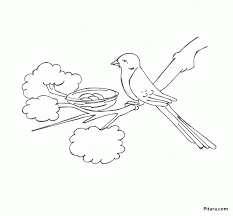 All materials are intended only for personal use. 7 Pics Of Bird Nest Coloring Pages For Preschool Birds Nest Coloring Library