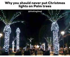 13 Hilariously Funny Christmas Memes That Ll Make You Lol King Feed Christmas Memes Funny Christmas Memes Christmas Humor