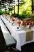 Picnic Wedding