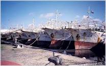 Image result for Roberto García Moritán El puerto de Montevideo, la pesca ilegal y las Malvinas