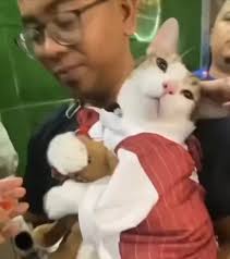 see you in these beautiful cities ✨ 28.10 — Lisboa 29.10 — Barcelona 30.10  — Madrid 📸 @federicomasotto_architecte 💎 @gyanriley @darian.donovan.thomas  @petros.klampanis