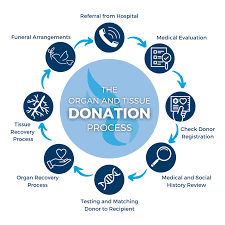 Image result for Tissue Donation