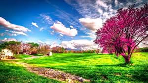 Selain menawarkan pemandangan yang indah, beberapalokasi tersebut juga akan menambah pengalaman dan pengetahuan kamu. 4096x2304 Free Download Hd Wallpaper Gambar Pemandangan Terindah Di Dunia Harian Nusantara Fashionsista Co