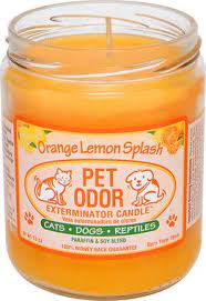 The product features a pleasant orange lemon splash scent and candles available in many appealing aromas. Pet Odor Exterminator Orange Lemon Splash Deodorizing Candle 13 Oz Jar Chewy Com Pet Odors Candles Pet Odor Remover