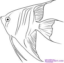 How To Draw Angelfish Step By Step Hundreds Of Great Drawing Tuts On This Site Fish Art Fish Drawings Fish Coloring Page