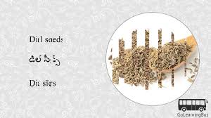 Learn Telugu Visual Dictionary Herbs And Spices Via Videos By Golearningbus 3d Youtube