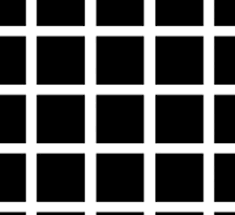 Image result for illusion pictures