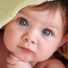 Tomica Collectible Truck Crane 2008 Long Type Tomica No133 Kobelco All  Terrain Crane KMG5220