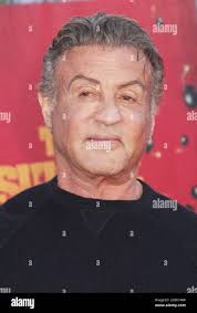 Sylvester i hi-res stock photography and images