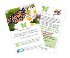 Getting milkweed seeds is easy. Milkweed Seed Packs
