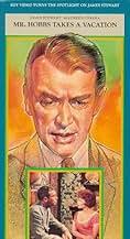 Mr. Hobbs macht Ferien (1962)