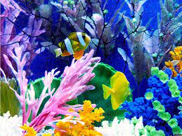 Sketsa pemandangan bawah laut penuh pesona eksotis. Pemandangan Bawah Laut Yg Indah Fondo De Pantalla Bawah Laut 1024x768 Wallpapertip