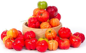 Check spelling or type a new query. Acerola Barbados Cherry Malpighia Emarginata Ayur Times