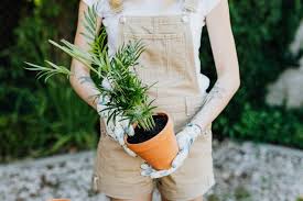 Maybe you would like to learn more about one of these? How To Keep Your Garden Free From Pests Broke And Chicbroke And Chic