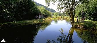 Campingplatz Camping Munstertal Schwarzwald Campingplatz Camping Schwarzwald