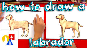 How To Draw A Labrador Retriever Art For Kids Hub Drawing For Kids Drawings
