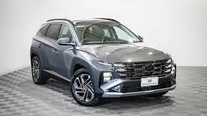 Image result for Ecotronic Gray 2025 Staria