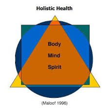Image Detail For Holistic Health Diagram Holistic Health Holistic Health Quotes