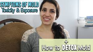Black mold exposure is no more harmful than exposure to other forms of mold, but it may lead to health issues for certain people. How To Detox Mold From The Body Black Mold Toxicity Youtube