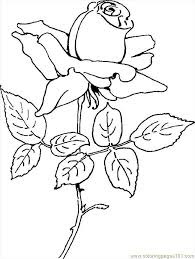 Pictures, crafts, hearts, cards and cupid valentines coloring pages, sheets and pictures. Printable Pictures Of Roses Coloring Home