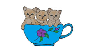 Then i taught him how to draw a cat because she likes cats. How To Draw A Kitten Easy Cute Cat Drawing And Coloring How To Draw A Kitten Easy Cute Cat Drawing And Coloring For Beginners With This How To Video And Step By Step