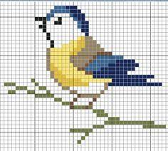 Pajaro Azul Y Amarillo Kus Desenleri Kanavice Dikis Ornegi