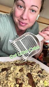 Do T Stop Meowing Cat Litter Cake