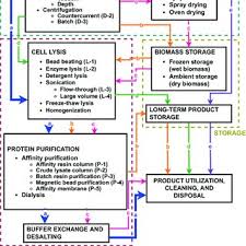 A. Mark Settles's research works