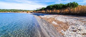 Playa Canoubiers Saint Tropez Var Francia Beachrex Com