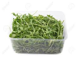 Now, roll it up, but not to tightly, and put the roll into a zip lick storage bag with the top open. Eruca Sativa Rucola Arugula Fresh Green Rocket Salad Leaves In Stock Photo Picture And Royalty Free Image Image 39692942