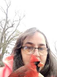 Cardinal Bird Hits House in Jesup Georgia and Recovers with Help