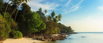 Istilah wesak berasal dari nama bulan dalam kalendar india. Cuti Umum Terengganu 2019 Publicholidays Com My