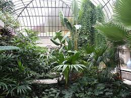 file jardin d hiver lux1 jpg wikimedia commons atrium plants greenhouse plants winter garden