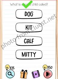 Die kühe rotten sich zusammen. Brain Test Level 34 What Is A Cat S Child Called Answers Cluest