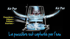 Pour Assainir Votre Air Interieur Equipez Vous De L Aspirateur A Eau Delphin M6 Deco Fr