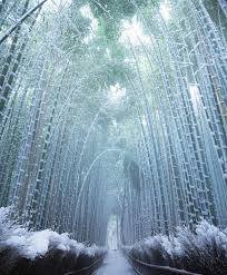 Cute funny winter season images. Beautiful Wallpaper Winter Images For Whatsapp Dp Pictures