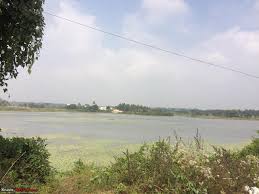 Common coot (fulica atra), gulakamale lake by aiel. Cool Drives Within 150 Km From Bangalore Page 40 Team Bhp
