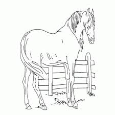 956 x 709 gif pixel. Kleurplaat Van Een Paard Printen Leuk Voor Kids