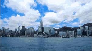 The Company | StarFerry